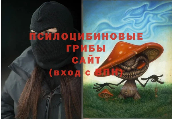 индика Абаза
