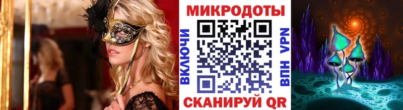 где продают   Заводоуковск  Галлюциногенные грибы GOLDEN TEACHER 